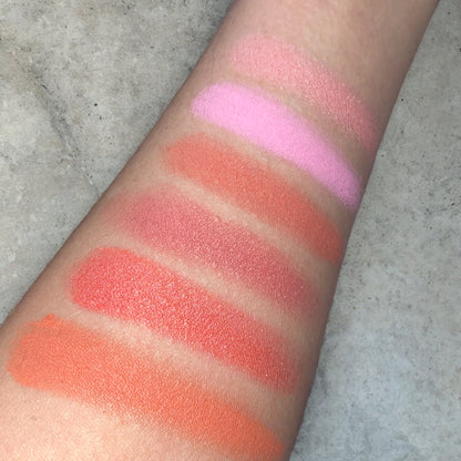 GLOWISH BLUSH PALETTE V1